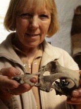 La guerra contra las brujas (TV)