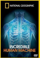 La increíble máquina humana (TV)