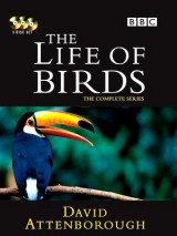 La vida de las aves (Serie de TV)