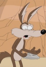 Muere, Correcaminos, muere (TV)