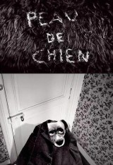 Peau de chien
