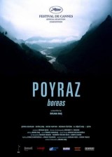 Poyraz (C)