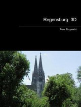 Regensburg in 3D