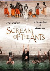 Scream of the Ants