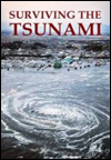 Sobrevivir al tsunami (TV)
