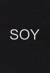 Soy