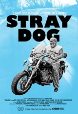 Stray Dog