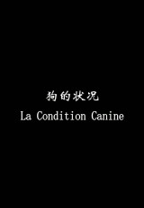 The Condition of Dogs (C)