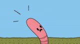 The Death of Wormboy