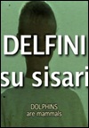 The Dolphins Are Mammals (C)