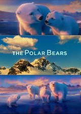 The Polar Bears