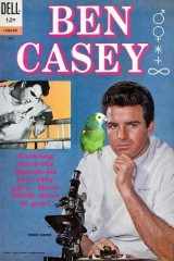 The Return of Ben Casey (TV)