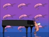 The Shrimps