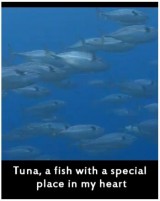 Tuna: A Fish with a Special Place in My Heart (C)