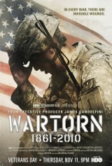 Wartorn: 1861-2010 (TV)