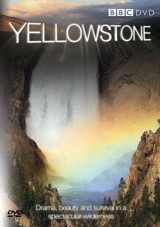 Yellowstone (TV)