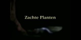 Zachte Planten