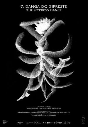 A Dança do Cipreste