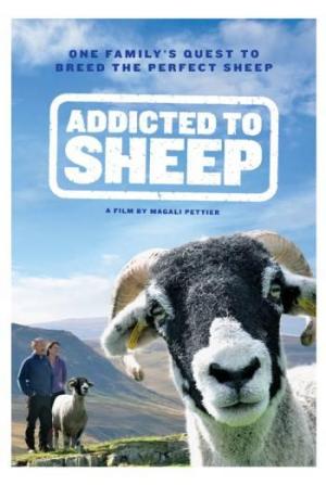 Addicted to Sheep