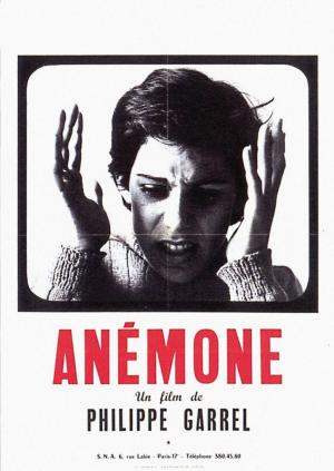 Anémone