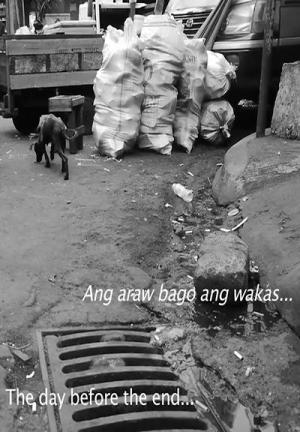 The Day Before the End (C)