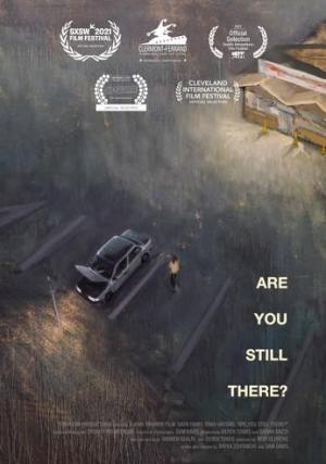 Are You Still There? (C)
