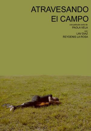 Atravesando el campo (C)