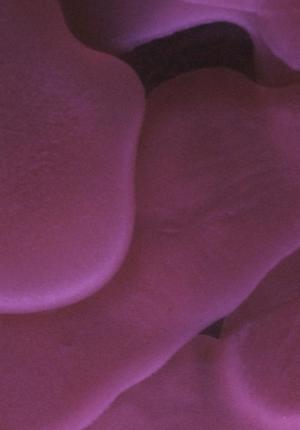 Azúcar y saliva y vapor (C)