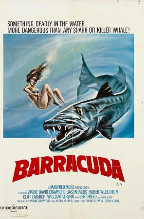 Barracuda