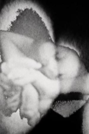 Breath/Light/Birth (C) (C)