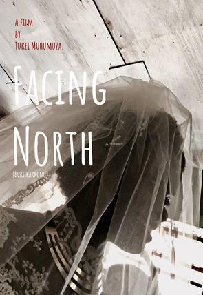 Mirando al norte (C)