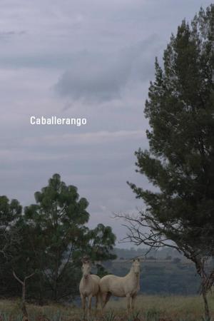 Caballerango