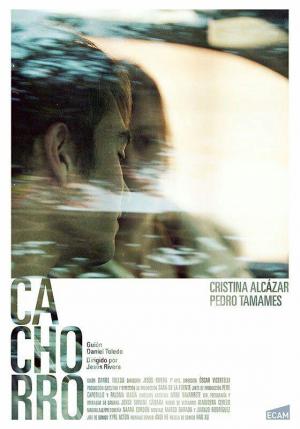 Cachorro (C)