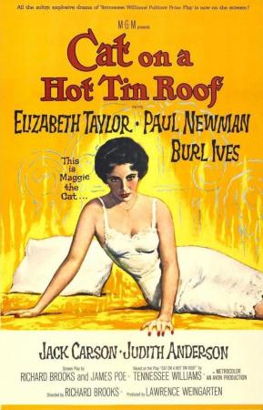 La gata sobre el tejado de zinc