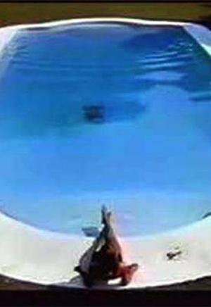 Chanel No. 5: The Swimming Pool (C)