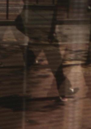 Colophon (for the Arboretum Cycle) (C)