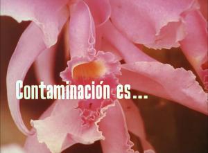 Contaminación es... (C)