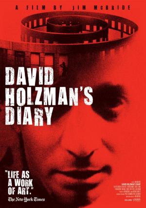 El diario de David Holzman