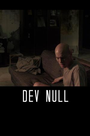 Dev Null (C)