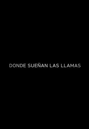 Donde sueñan las llamas (C)