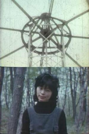 The Girl in the Picture