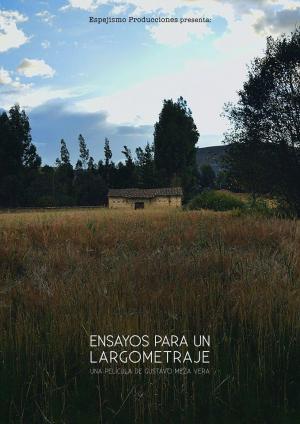 Ensayos para un largometraje
