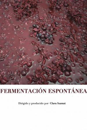 Fermentación espontánea