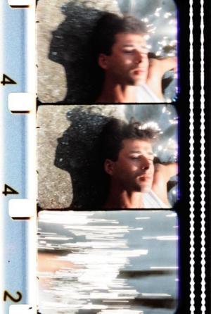 Feuilles d'été (C)