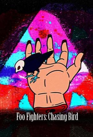 Foo Fighters: Chasing Bird (Vídeo musical)