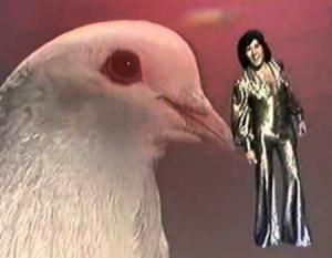 Georgie Dann: Paloma blanca (Vídeo musical)