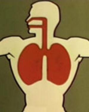 Health for the Americas: Tuberculosis (C)