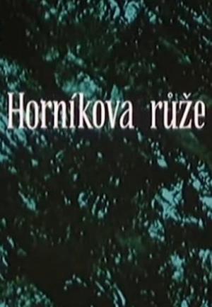 Horníkova ruze (C)