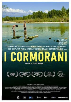 I cormorani