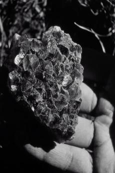 Instructions on How to Make a Film (C)